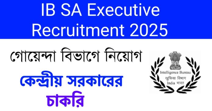 IB SA Executive Recruitment 2025