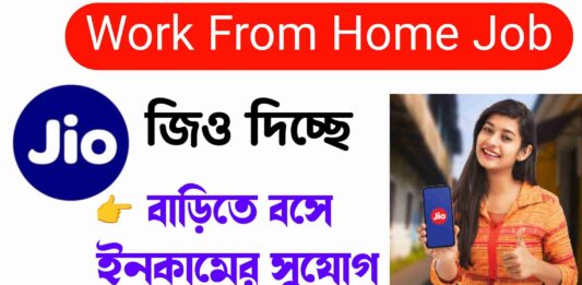 Jio Work From Home Job 2025
